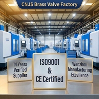 Vanne à boisseau sphérique en laiton forgé CNJS, prix usine, passage pleine largeur, filetage NPT 1/2 pouce, manuelle, haute température, eau, huile, gaz