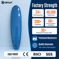 Planche de surf personnalisée XPE EPS HDPE Longboard Ocean Wave Board OEM ODM Logo et taille personnalisés pour le surf en mer et sur la plage