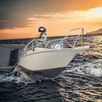 30ft/9m de profondeur V coque en aluminium soudé meilleurs bateaux de plongée avec cabine rigide à vendre