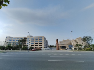 Calamar <span class=keywords><strong>Illex</strong></span> argentin économique pour l'exportation, provenant d'un fournisseur chinois - Product Image 5