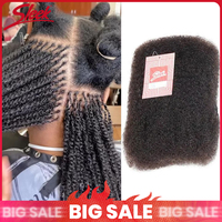 Grande Vente Cheveux Humains Péruviens Afro Kinky en Vrac Tresses Bouclées Extensions de Dreadlocks Provenant de Chine Continentale Toutes Couleurs