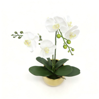 Anggrek Phalaenopsis Buatan Putih dengan Akar dalam Pot Keramik Emas dengan Tanah Buatan Bunga Palsu untuk Dekorasi Ruang Tamu.