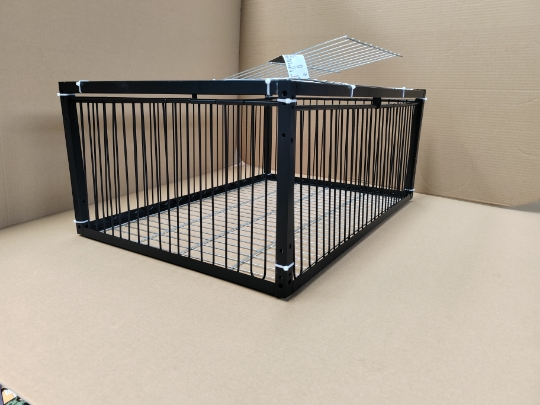 bird trap cage