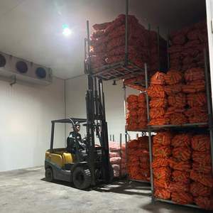 แครอทออร์แกนิกจากเวียดนามบรรจุตามธรรมชาติสำหรับซูเปอร์มาร์เก็ตและขายปลีก - Product Image 2