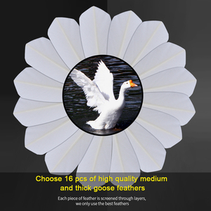 Whizz Model ZE-9 Goose Curving Feather Shuttlecock Durable Economic <strong>Badminton</strong> - Product Image 3