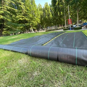 <span class=keywords><strong>Géotextile</strong></span> tissé PP PE, tapis <span class=keywords><strong>anti</strong></span>-mauvaises herbes, tissu paysager découpé sur mesure - Product Image 2