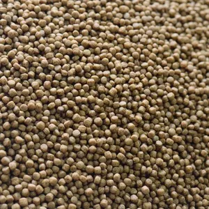 Pacchetto Premium alla rinfusa di Koi stabile/koi pellet