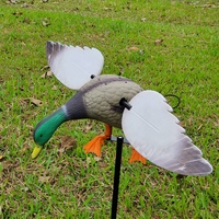 Médicaments pour la chasse au canard, jouet pour la chasse