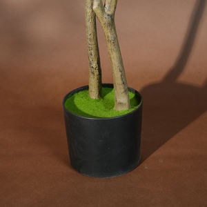 Plantes artificielles <span class=keywords><strong>Jasmin</strong></span> pleureur Couleur verte Plastique écologique en <span class=keywords><strong>pot</strong></span> Plante haute Décoration d'intérieur Diplôme Halloween - Product Image 6