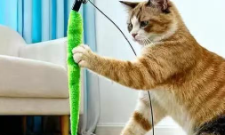 Juguete Rascador Interactivo para Gatos, Rascador Redondo de Madera con Plumas Colgantes y Pistas de Bolas para Jugar en Interiores - Product Image 3