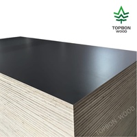 Panneau de contreplaqué en peuplier de première qualité, placage de pin, 1220x2440 mm, E1, écologique, surface poncée, décoration, coffrage