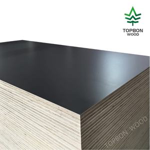 Panneau <span class=keywords><strong>de</strong></span> contreplaqué en peuplier <span class=keywords><strong>de</strong></span> première qualité, placage <span class=keywords><strong>de</strong></span> pin, 1220x2440 mm, E1, écologique, surface poncée, décoration, <span class=keywords><strong>coffrage</strong></span> - Product Image 4