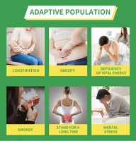 Pansement Détoxifiant pour les Pieds Confortable à Base de Plantes 100% Naturel Patch pour les Pieds pour Éliminer les Toxines Améliorer la Qualité du Sommeil Soulager la Fatigue et la Douleur