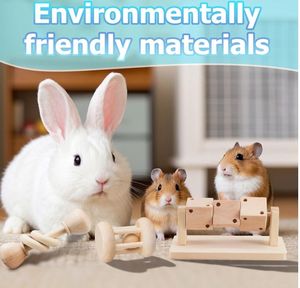 Tavşanlar, Gine Domuzları ve Hamsterler için Komik Kauçuk ve Masif Ahşap Diş Kaşıma Oyuncağı - Modern Tarzda Karton Paketli - Product Image 5