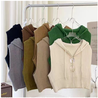 Gilet pull à capuche haut de gamme style coréen automne-hiver 2026 pour femme – Gilet décontracté pour femme