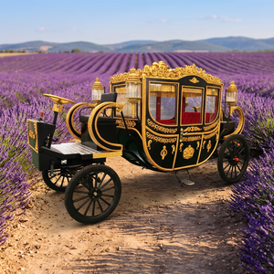 Vente Fabricant : Calèche de Mariage Citrouille Royale Noire pour Fêtes et Cérémonies, Calèche à Chevaux à Vendre - Product Image 1
