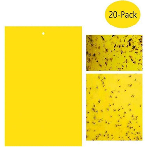 Trampa Adhesiva para Moscas de Doble Cara YOMO YM-001, Trampa de Pegamento Desechable para Eliminar Garrapatas, Uso en Interiores/Exteriores, Repelente de Insectos Azul/Amarillo - Product Image 1