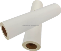Haute qualité Double face Anti-curl Film de transfert Cold Peel Vêtements Textiles Double couche PET DTF Film Transfert de chaleur