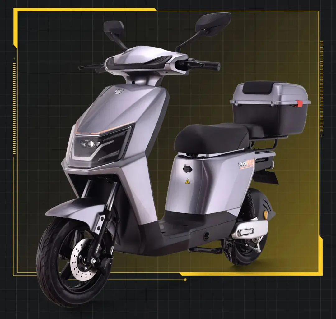 SAIGE-motocicleta eléctrica, ciclomotor eléctrico de 350W