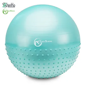 Zhensheng Ballon de yoga de couleur imprimé personnalisé Ballon d'exercice avec logo