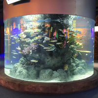 Nouvel aquarium rectangulaire en acrylique, design délicat, écologique, 4,5 L, taille personnalisable, haute qualité, vente chaude en usine