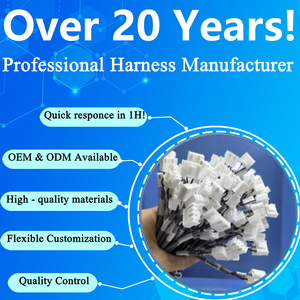 Cableado Personalizado con Núcleo de Cobre y Cubierta de PVC, Conector JST VH3.96 de 4 Pines y <span class=keywords><strong>2</strong></span> Núcleos con Terminal de Anillo, Paso de 3.96mm, Cable para Motocicleta - Product Image 6