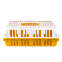 Volaille Plastique Poulet Poussin Poulet Poulet Couche Canard Pigeon Transport Cage Caisse Cas Boîte