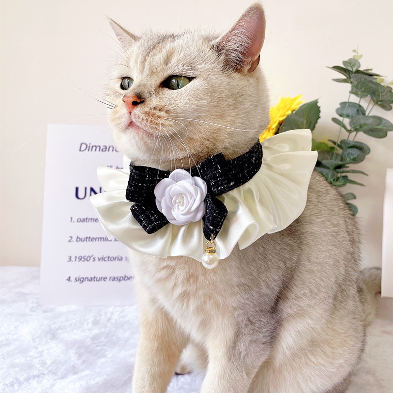 Lindos pañuelos para gatitos: accesorios divertidos y ajustables - Main Image