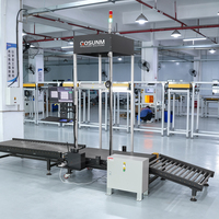 Sistema Automático de Reconocimiento de Etiquetas de Cartones, Procesa de 15 a 3000 Cartones por Hora, Clasificación para Centros de Logística de Comercio Electrónico