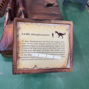 ไดโนเสาร์หุ่นยนต์ขี่ได้ แอนิเมทรอนิกส์ ฮาโลวีน ลดราคาสุดพิเศษ  หุ่นยนต์แสนสนุก - Product Image 4