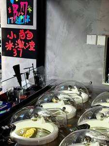 PRO V6 Gelato Brand 6 FLAVORS Italian Hard Gelato Ice Cream Machine Commercial New Milk/Fruit/<strong>Chocolate</strong>/Yogurt Front <strong>Bar</strong> All One - Product Image 5