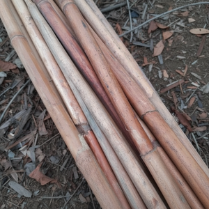 Poste de caña de ratán pulido Akina de 40mm a 65mm, precio barato al por mayor - Product Image 1