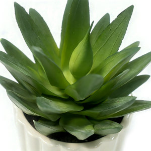 Maceta <span class=keywords><strong>de</strong></span> Cerámica Ecológica con Diseño <span class=keywords><strong>de</strong></span> <span class=keywords><strong>Flor</strong></span> Suculenta, Decoración Artística Creativa, Planta Suculenta Artificial <span class=keywords><strong>Echeveria</strong></span> en Maceta, Decoración para Hogar y Escritorio - Product Image 3