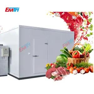 Warm Verkoop Koude Opslagruimte Voor Fruit En Groenten Koelsysteem Koeler Kamers Voor Vlees Koelsysteem