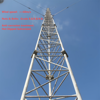 Mât treillis guyé de 18 m à technologie professionnelle, compatible avec le montage de terminal satellite Starlink pour zones éloignées
