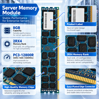 Mémoire serveur Sun Oracle 8 Go DDR3 7020486 7011456 2RX4 PC3-12800R ECC REG RAM