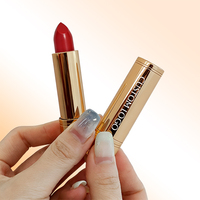 Rouge à Lèvres Liquide Mat Nude Personnalisé – Fournisseur de Marque Privée – Nouveau Fournisseur de Rouges à Lèvres