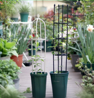 Supports de plantes en PVC anti-rouille en forme de U MQ, design moderne pour tomates et pois, empêche la rupture des tiges, utilisation en serre et jardin