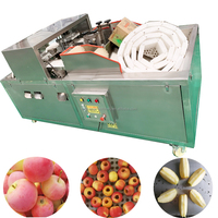 Industriële Jujube Palm Dadels Putmachine Kersen Olijf Pitter Kern Verwijderen Extractiemachine