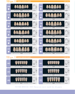 CE ISO Denti acrilici compositi per dentiere sintetiche denti artificiali per la vendita/dentiere denti finti acrilico apparecchiature dentali - Product Image 4