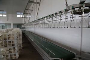 מכונת עיבוד שחיטה של עופות ODM OEM למפעל עיבוד עוף קפוא ומשחטה - Product Image 4