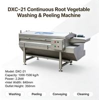 DXC-21 Continue Wortelgroentewas- en Schilmachine SUS304 RVS Aardappel Gember Wortel Verwerkingsapparatuur