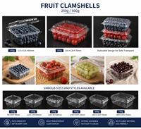 Boîte d'emballage pour fruits en PET transparent |   Conteneur en plastique transparent de qualité alimentaire, taille et logo personnalisés, vente en gros