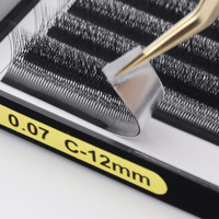 Extensions de Cils En Gros Forme Trèfle Noir Ultra Profond Courbure C D V Y 3D 4D 5D 6D W YY 0.05 0.07