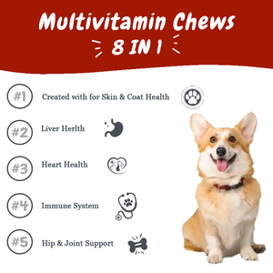 Customized Capsule 25Ml Bottles Electrolytic Bottle B Powder Eye Coa Vitamin Ad3E <strong>Dog</strong> Pet Vitamins <strong>Uk</strong> <strong>for</strong> Pets - Product Image 3