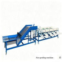 Machine de triage industrielle pour fruits (citron, olive, orange, agrumes, avocat) sucrés et acidulés, avec convoyeur de calibre