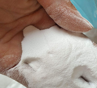 Poudre adhésive thermofusible DTF blanche en gros pour usine, à séchage rapide et haute adhérence, pour impression de t-shirts personnalisés, approvisionnement en vrac pour ateliers.