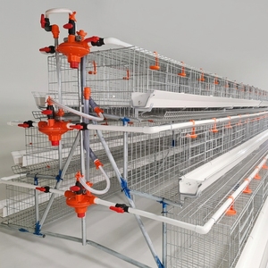 Nouvelle cage à poulets à 4 étages en acier galvanisé avec une longue durée de vie pour les fermes avicoles - Product Image 6