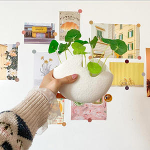 आधुनिक नॉर्डिक शैली सुरुचिपूर्ण सफेद मिट्टी के अंडे का खोल फूलदान बड़ा आकार फूल बर्तन घर की डेस्कटॉप सजावट - Product Image 4