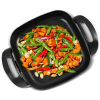 Marmite Électrique Portable Carrée 5L pour Cuisine Saine, Antiadhésive, Idéale pour Dortoir - Vente en Gros